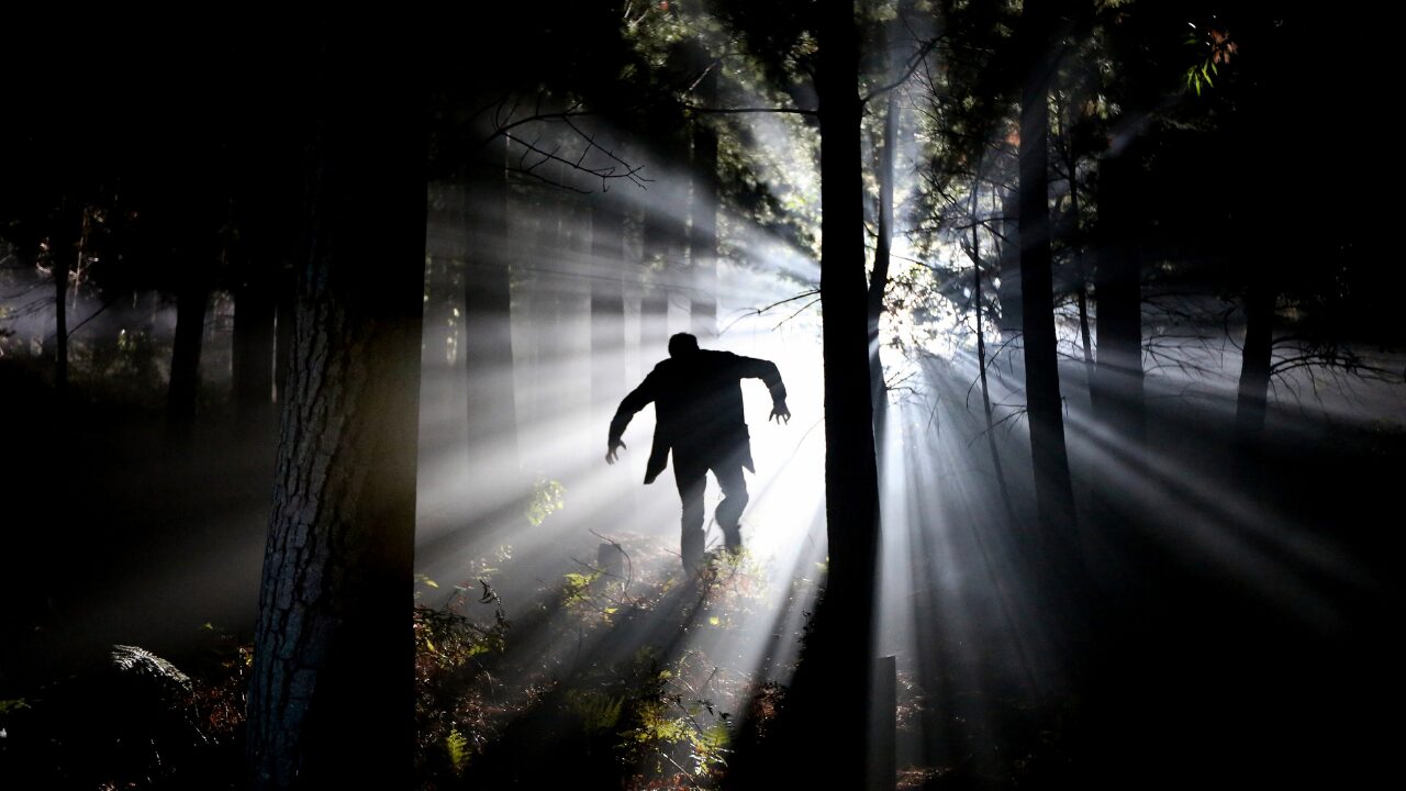UFOが訪れて、若者たちをアブダクト
