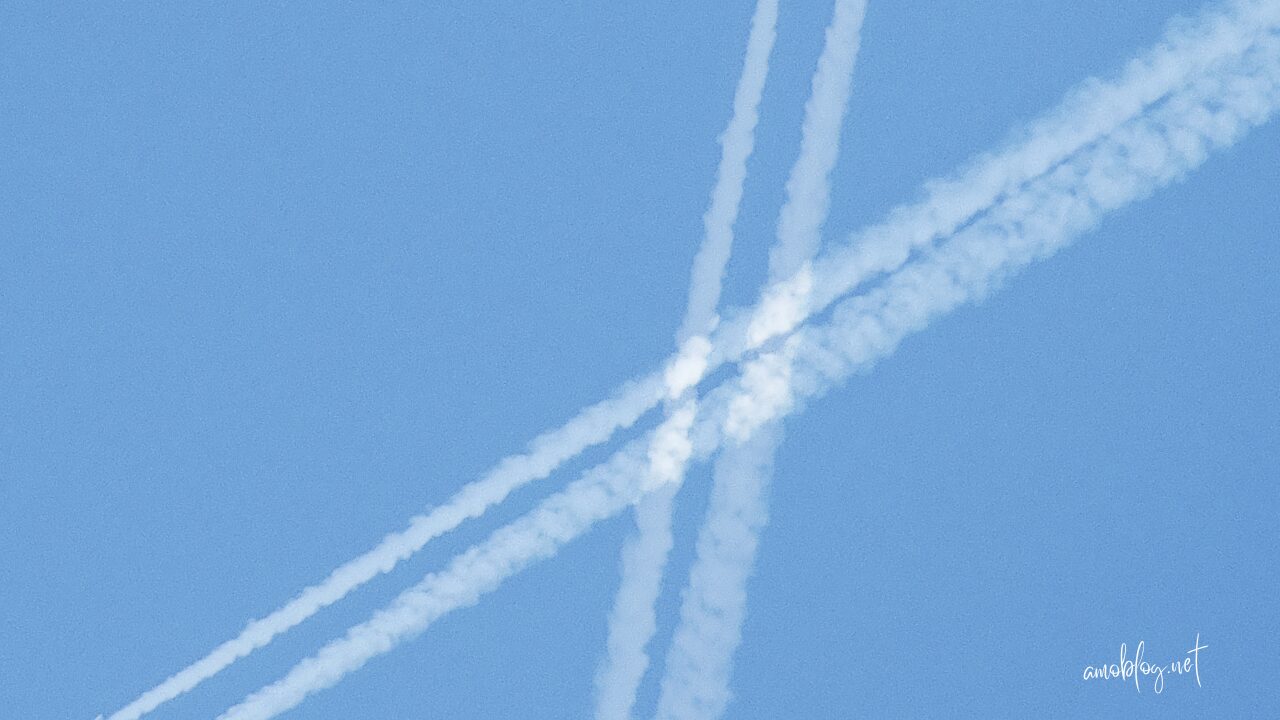 スカリー妊娠の秘話