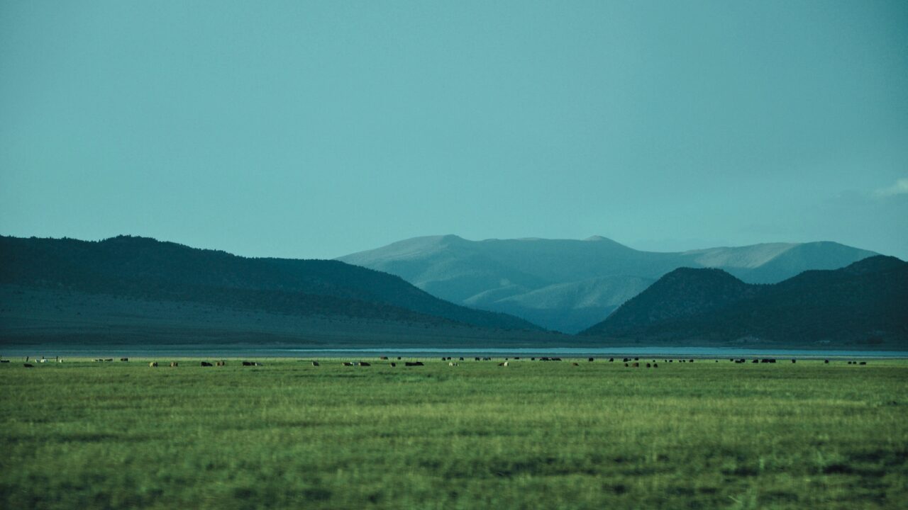 モンタナの草原にジェレマイア