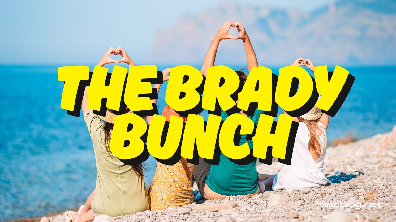 『ブレイディ・バンチ』の世界