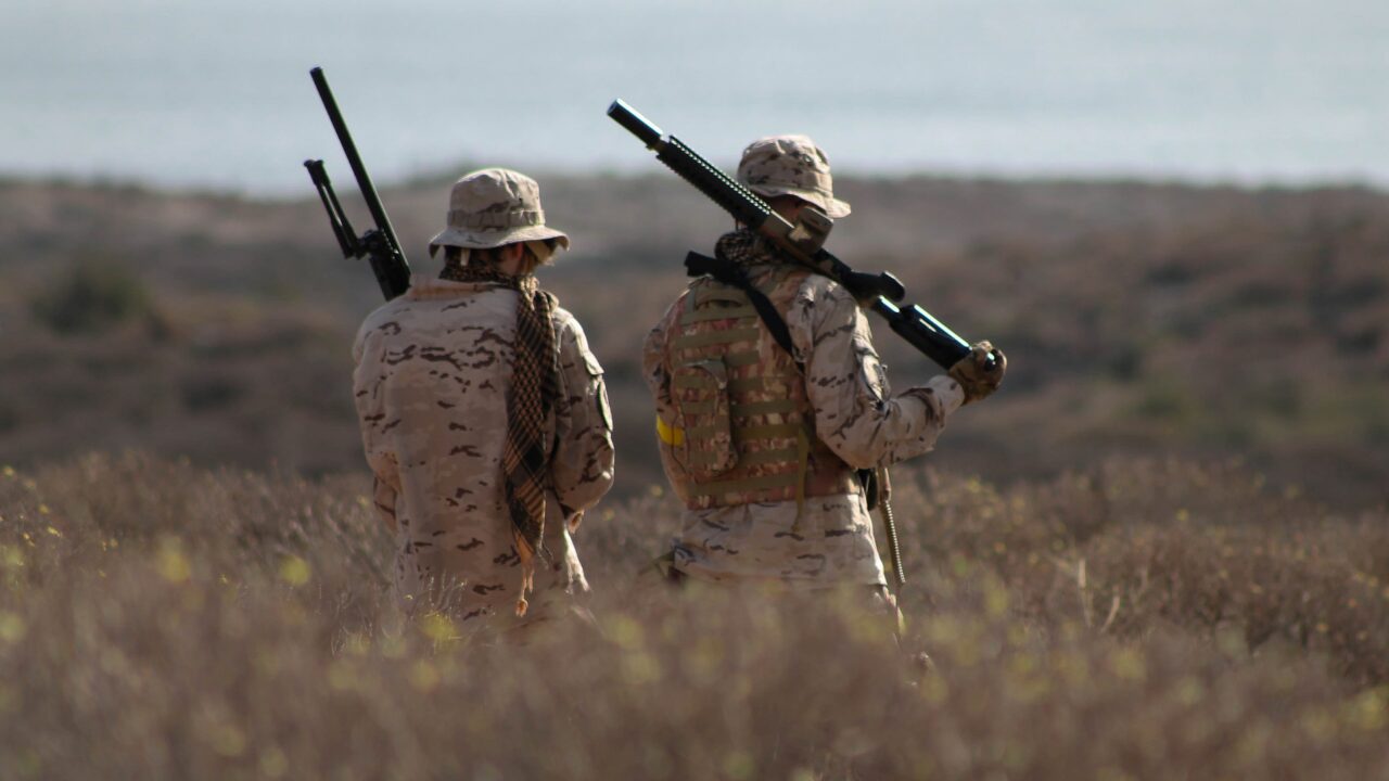 スキナーの若かりし日の物語